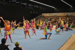 Weltgymnaestrada Dornbirn 2019